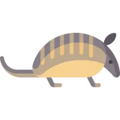 Armadillo