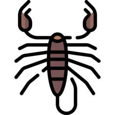 蝎