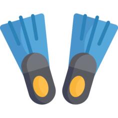 Flippers