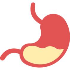 Stomach