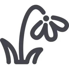 Snowdrop flower