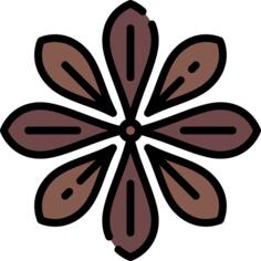 Anise