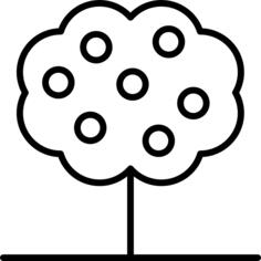 Fruit tree
