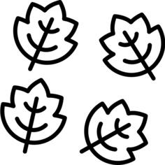 Leaves