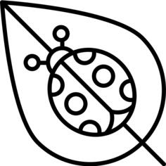Ladybug