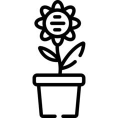 Pot
