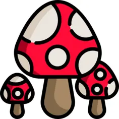 Mushroom