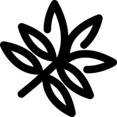 桦木