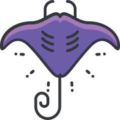 Manta ray