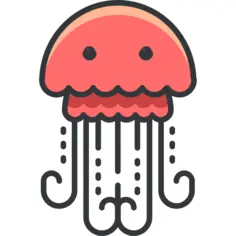 Jellyfish