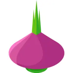 Radish
