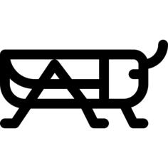 刺槐