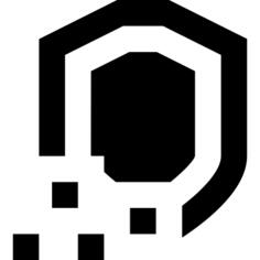 数字安全