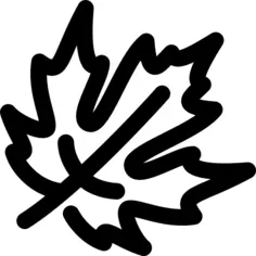Maple leaf