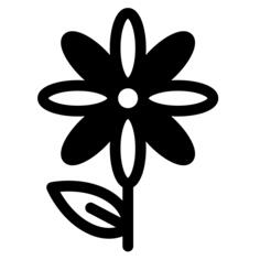 Camomile