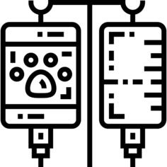 Iv