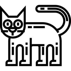 黑猫
