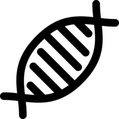 Dna