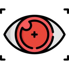 仿生隐形眼镜