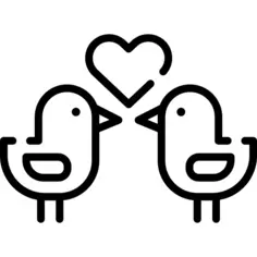 Love birds