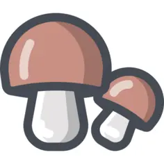 Mushroom