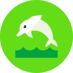 海豚