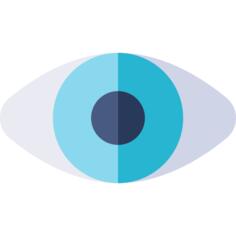眼睛