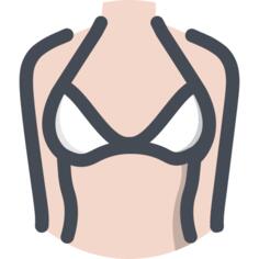 Bra