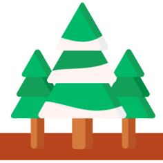 Pines