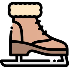 Ice skate