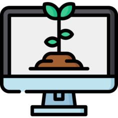 Growth