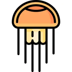 Jellyfish