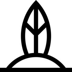 冲浪