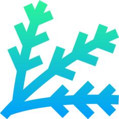 Spruce