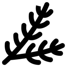 Spruce