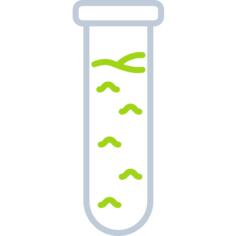 Test tube