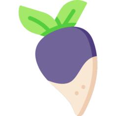 Turnip