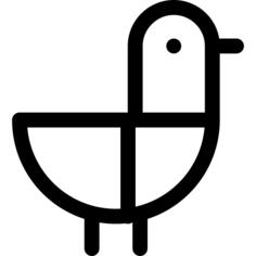 Seagull