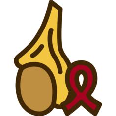 Testicle