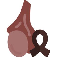 Testicle