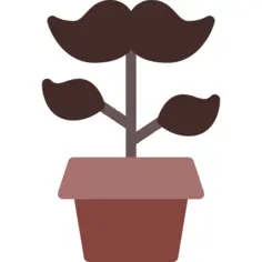 Growing