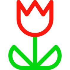Tulip