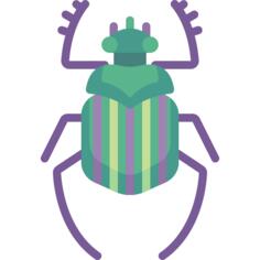 Beetle