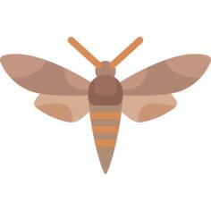 Bug