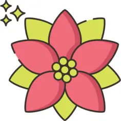 Poinsettia