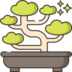 Bonsai
