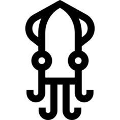 Squid