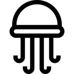 Jellyfish