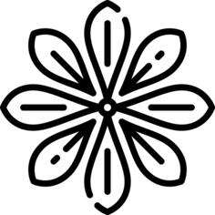 Anise