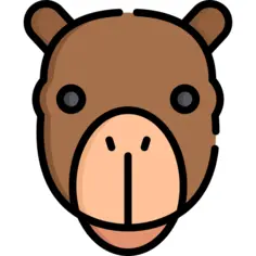 Camel
